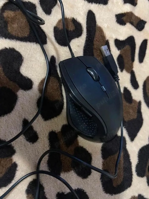 Mouse Sandstrom - imagine 2