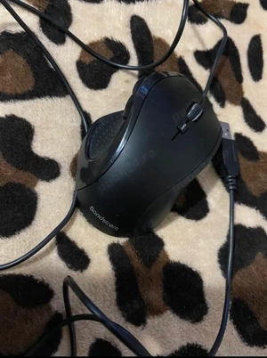 Mouse Sandstrom - imagine 3