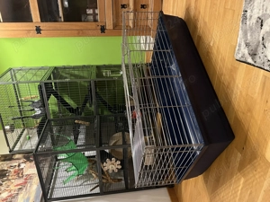 Cușcă Rozătoare 120x53x46 - imagine 4