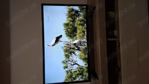 smart tv HORIZON