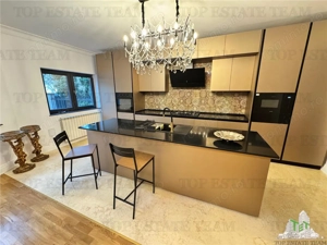 Vila pretabila rezidenta office Iancu Nicolae - imagine 4