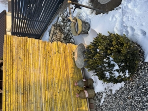 Vand panouri cofraj si betoniera - imagine 3