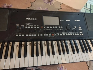 Orga profesionala kork PA300