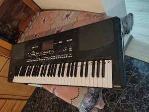 Orga profesionala kork PA300 - imagine 2