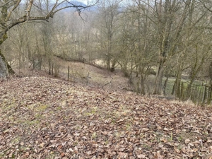 Vanzare casa si teren comuna Valea Lungă - Cricov, jud. Dâmbovița - imagine 3