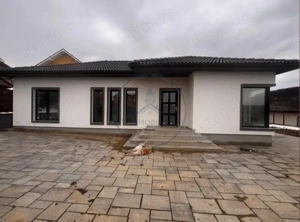 casa la gata sau la roșu 