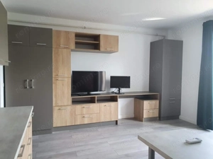 Apartament cu 1 camere etajul 1,  mobilat si utilat Braytim Eso  - imagine 3