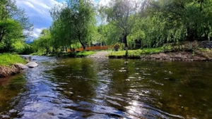 Vand casa vacanță  - imagine 3