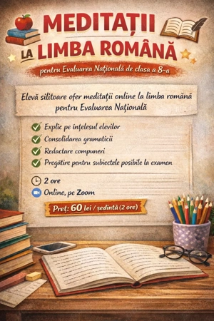 Meditatii la limba romana 