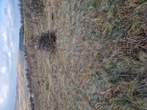 Vand teren  - imagine 4