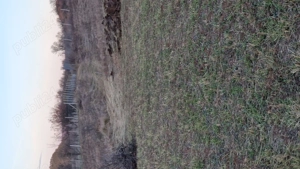 Vand teren  - imagine 3