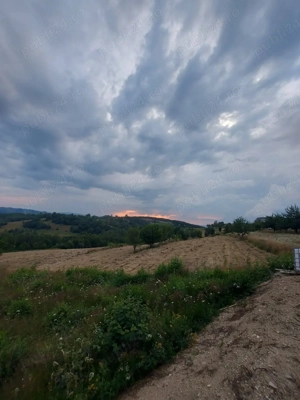 vand teren  - imagine 2