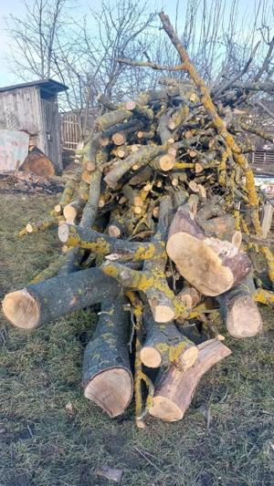 Lemn de foc NUC uscat  2,6 mc   Girov, Neamț - imagine 5