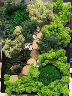 Tablou licheni și mușchi naturali stabilizați 