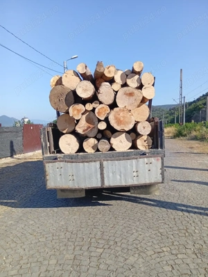 avem lemn de foc și transport oferim 