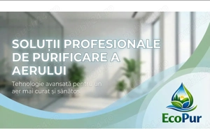 Solutii impotriva mucegaiului