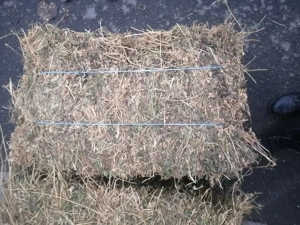 Baloți de lucernă de vânzare  - imagine 2