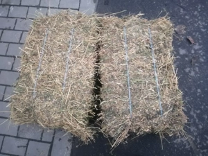 Baloți de lucernă de vânzare 