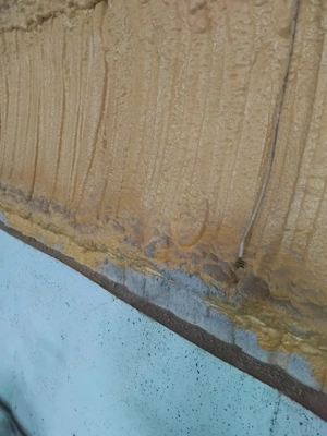 se vinde hala - imagine 3