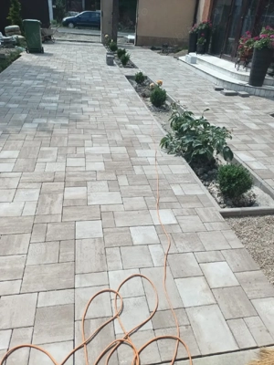 orlndo sorin - imagine 2