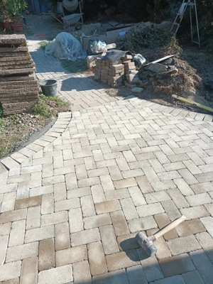 orlndo sorin - imagine 4