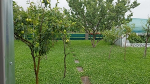 Teren casa 1000 mp, front stradal 20 ml cu proiect pentru casa la sol