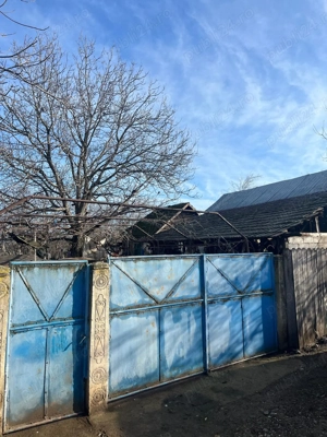 De vanzare Darvari casa si teren 2900 mp  - imagine 2
