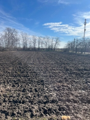 De vanzare Darvari casa si teren 2900 mp  - imagine 3