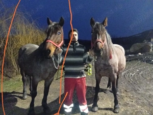 vand iapa 9 10 ani  - imagine 2