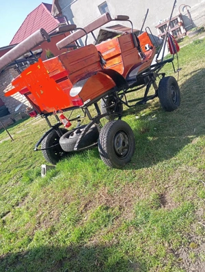 Trăsură cai - imagine 4