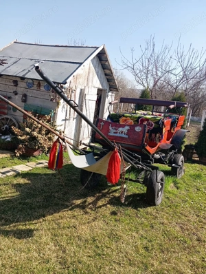 Trăsură cai - imagine 3