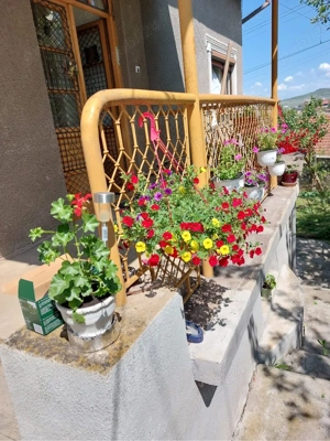 Vând casă D+P în Hunedoara, zona Chizid, teren 436mp, garaj, anexă - imagine 3