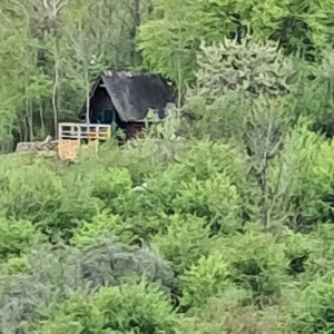 Teren Breaza intravilan  - imagine 2