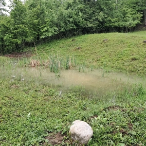 Teren Breaza intravilan  - imagine 4