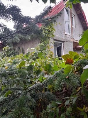 Casă de vânzare în Amara Nouă, Ialomița   la câteva minute de lac și plajă - imagine 2