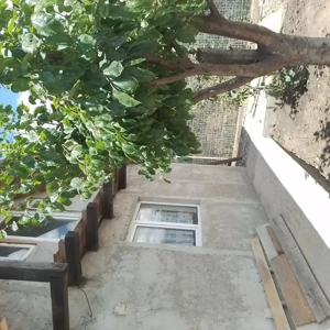 Casă de vânzare în Amara Nouă, Ialomița   la câteva minute de lac și plajă - imagine 3