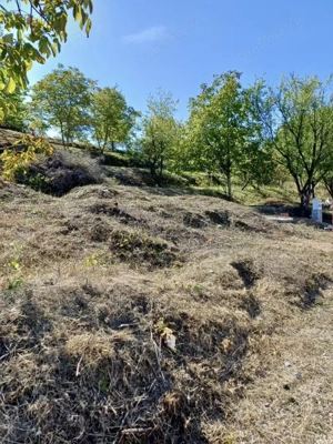 Teren intravilan 810 mp - Gheorge Doja, Oradea - imagine 4