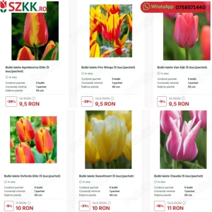 Bulbi de lalele la pret de extrasezon - lichidare stoc!