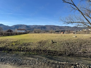 Teren intravilan Tocile Sadu 2000 mp