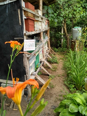 Ofer 8 familii albine ,cu sau fără lazi.Luduș.