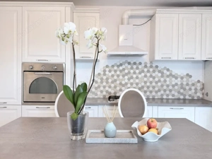 Superba, gata de mutare – Dumbrăvița, langa Pădurea Verde | Com 0% - imagine 6