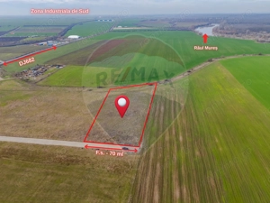 Teren intravilan 10.000 mp în Zona Industrială Sud Arad - imagine 5