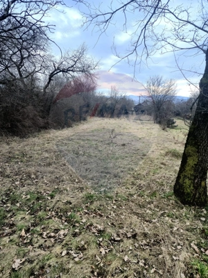 Casă / Vilă cu 3 camere de vânzare - imagine 4