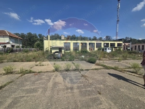 Spațiu industrial 15435 mp. de vânzare in Tinca. - imagine 14