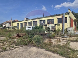 Spațiu industrial 15435 mp. de vânzare in Tinca. - imagine 10