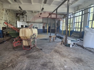 Spațiu industrial 15435 mp. de vânzare in Tinca. - imagine 11