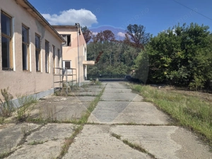 Spațiu industrial 15435 mp. de vânzare in Tinca. - imagine 7