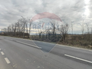 Teren intravilan Jena - imagine 2