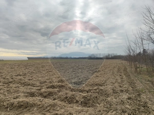 Teren intravilan Jena - imagine 3