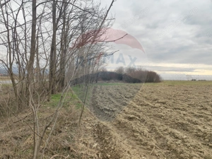 Teren intravilan Jena - imagine 4